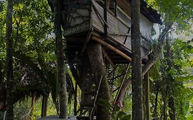 Sitio Simple Life